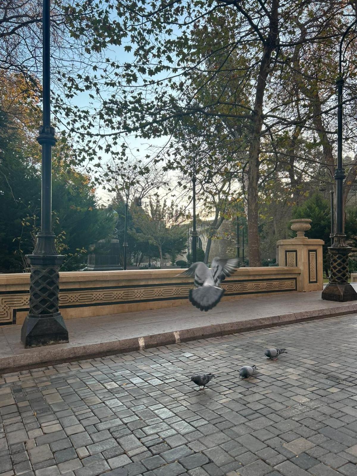 Hostel124 Baku Exteriér fotografie